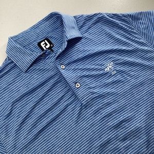 Footjoy Golf‎ Polo Shirt Mens L Heather Blue/White Stripe Short Sleeve Polo Pony